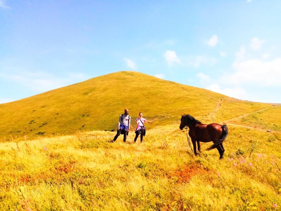 Family Green Sasovka  エクステリア 写真